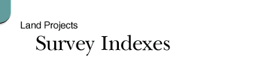 Survey Indexes